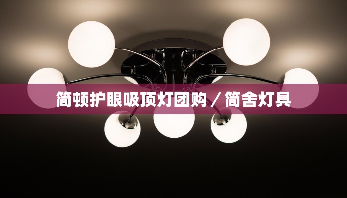 简顿护眼吸顶灯团购／简舍灯具